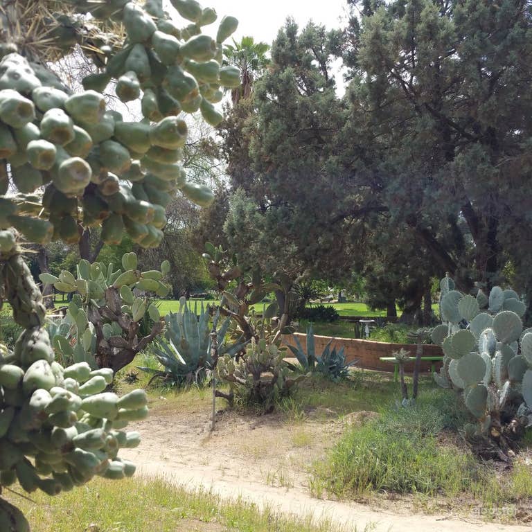  Deutsch Cactus Garden in Fresno 