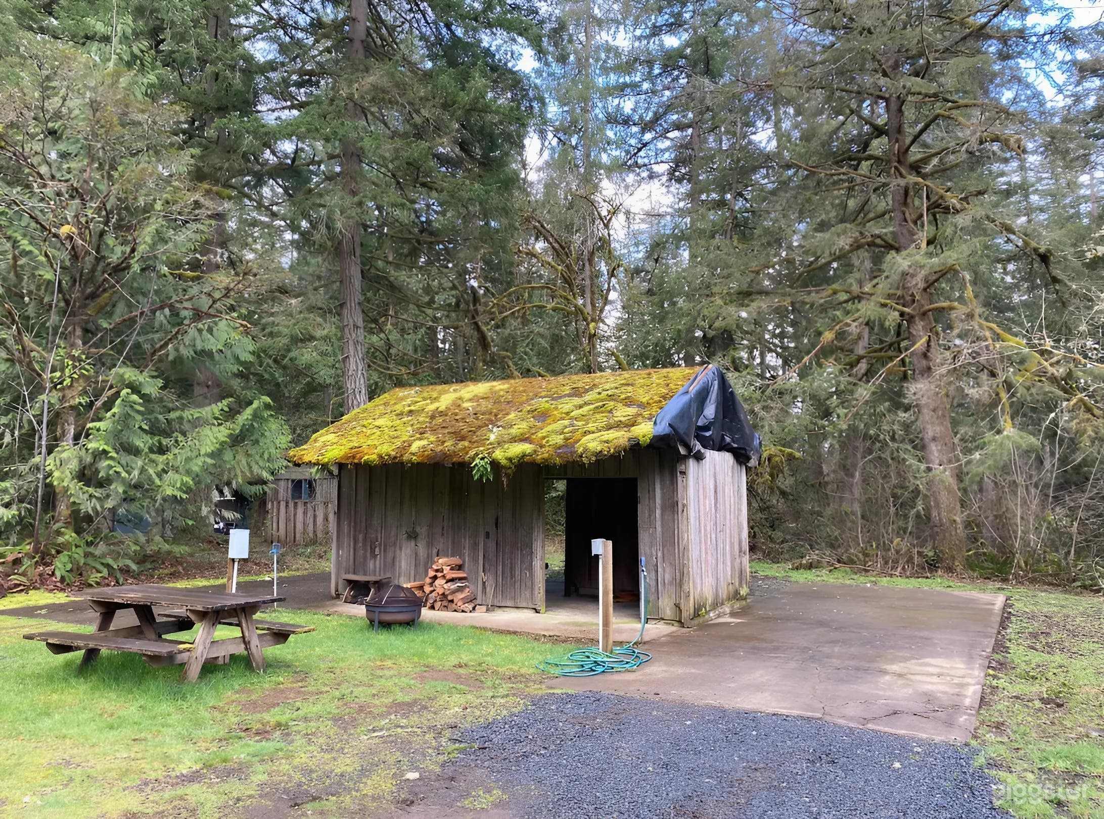 Spacious RV Sites – Concrete Pads, Car Camping Welcome Photo 3