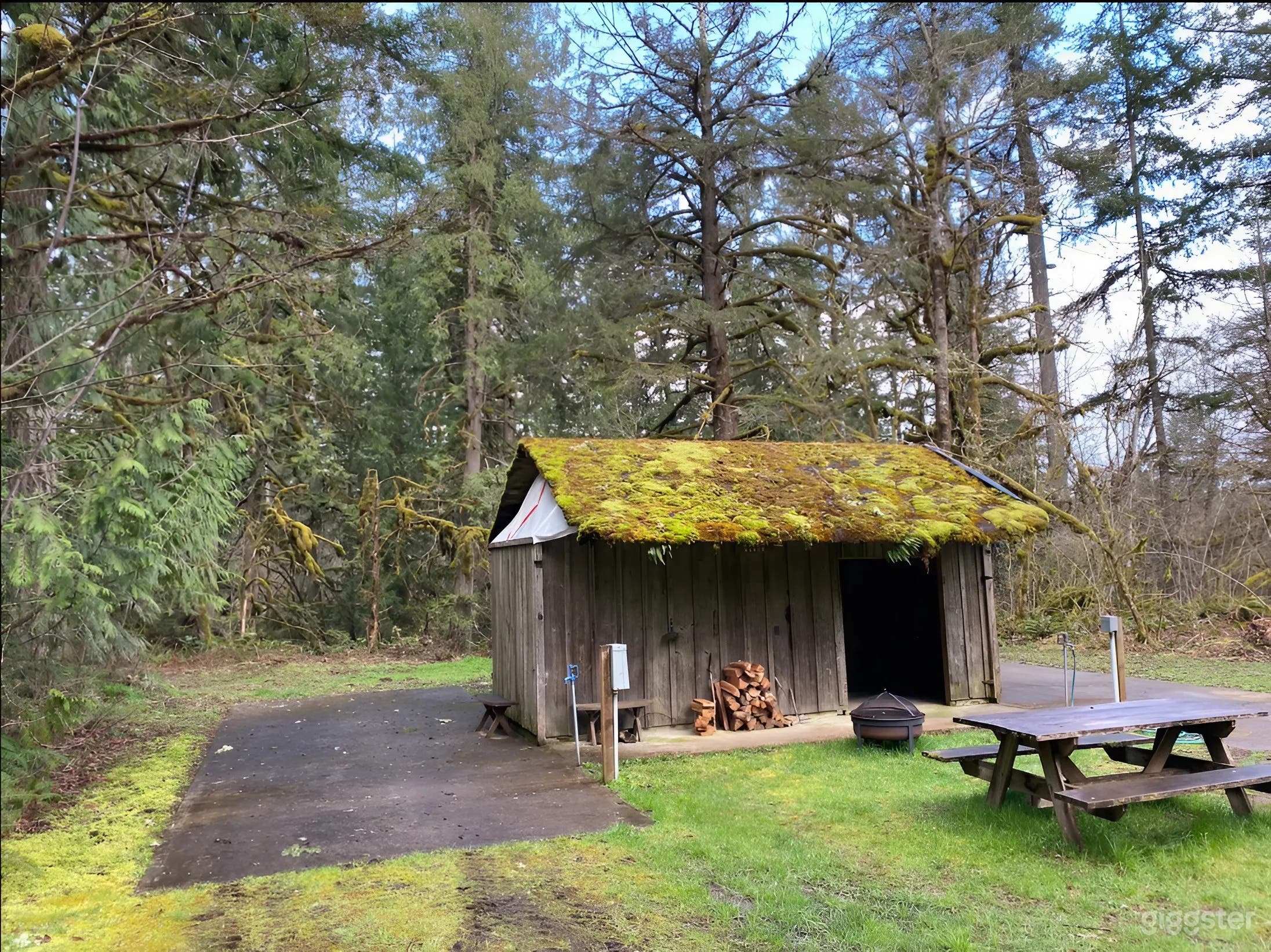 Spacious RV Sites – Concrete Pads, Car Camping Welcome Photo 2