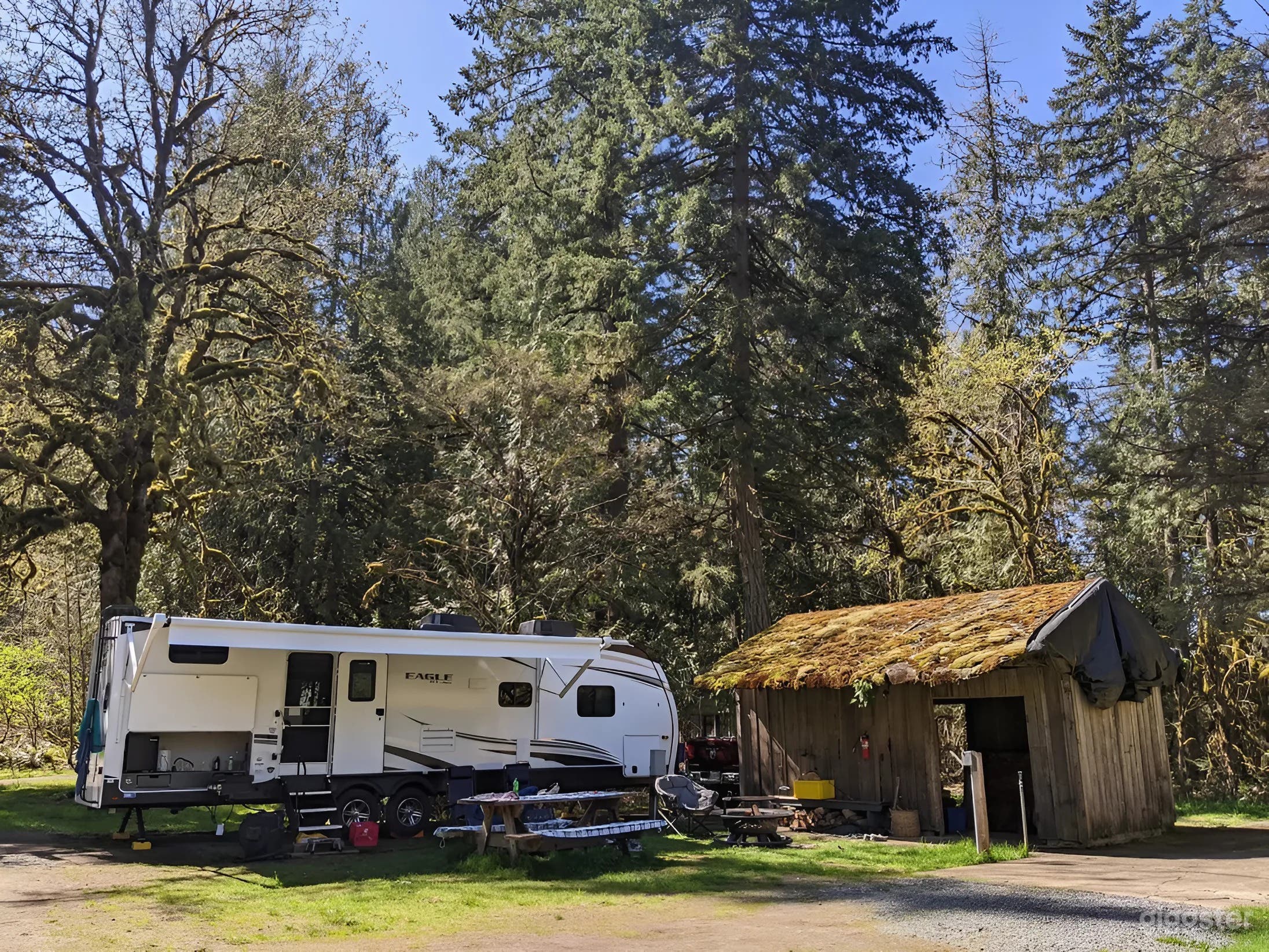 Spacious RV Sites – Concrete Pads, Car Camping Welcome Photo 1