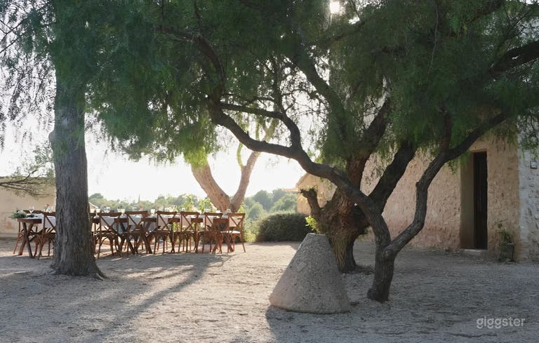  El Patio — Terraza Íntima con Olivos 