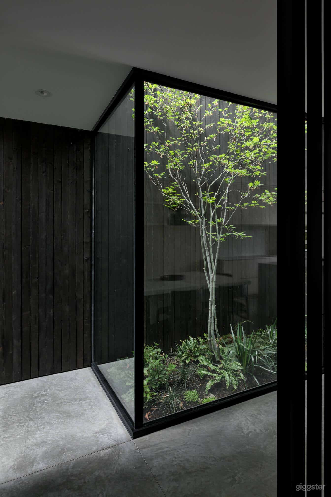 View of atrium from entryway - Ema Peter photo