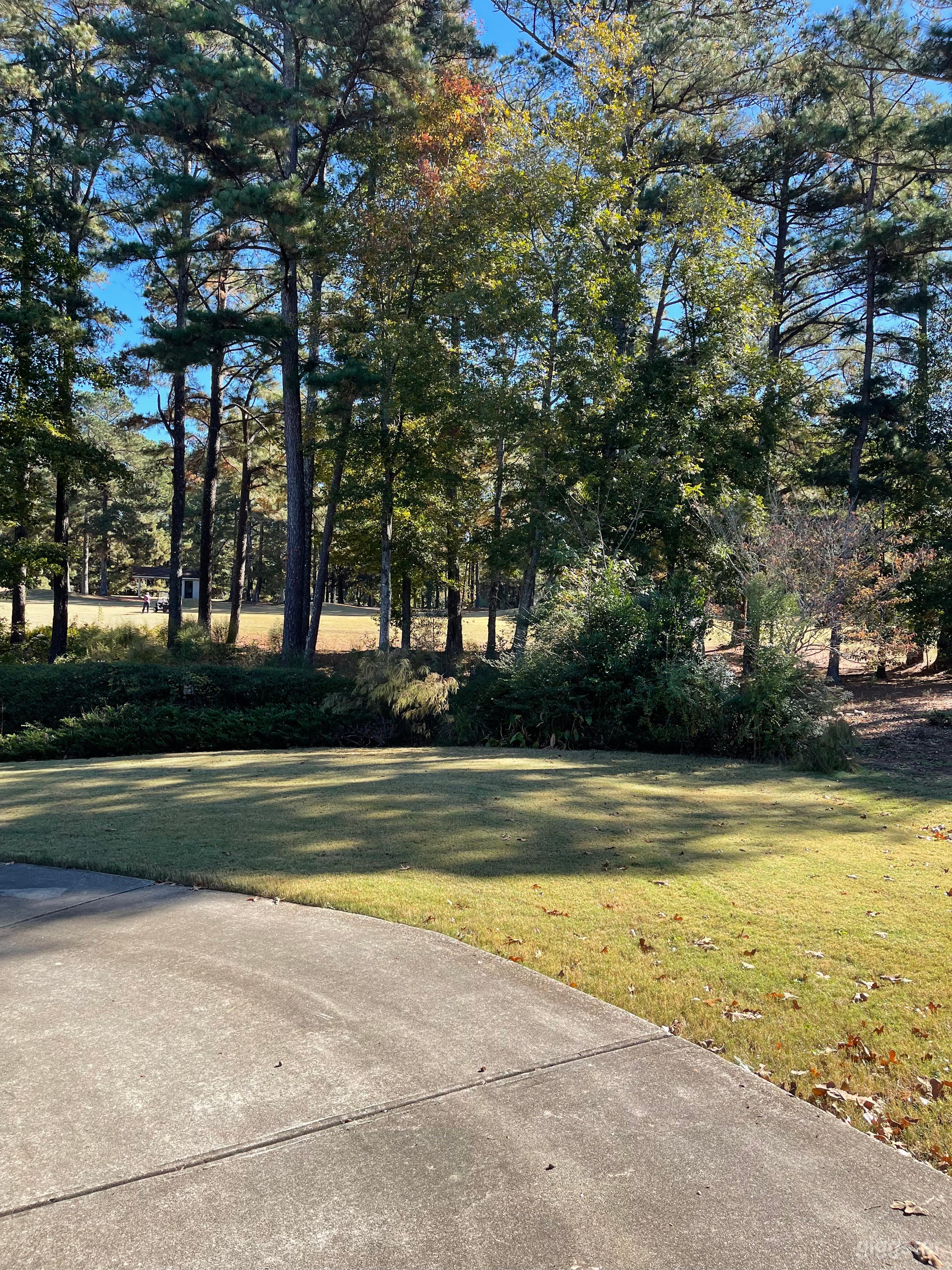 Scenic Backyard Oasis in Lake Spivey Golf Course Community Photo 2