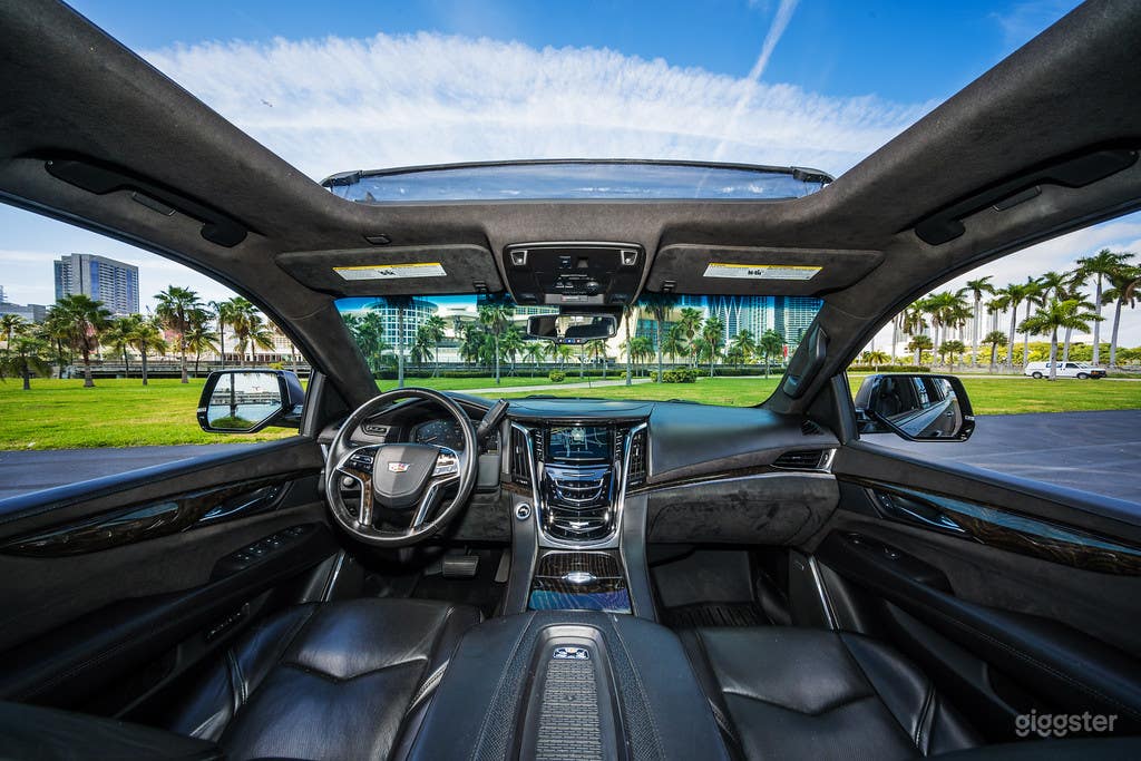 **** SUEDE LEATHER ALL OVER ****