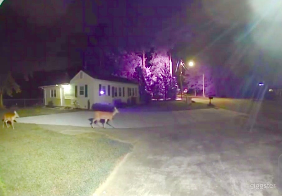 Front Entrance driveway (night)