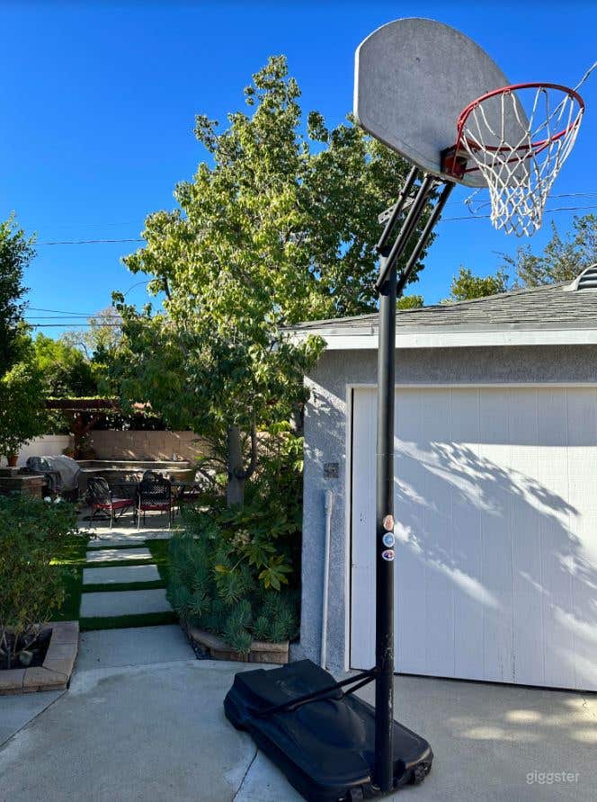 Half Basketball Court in the Backyard Photo 1
