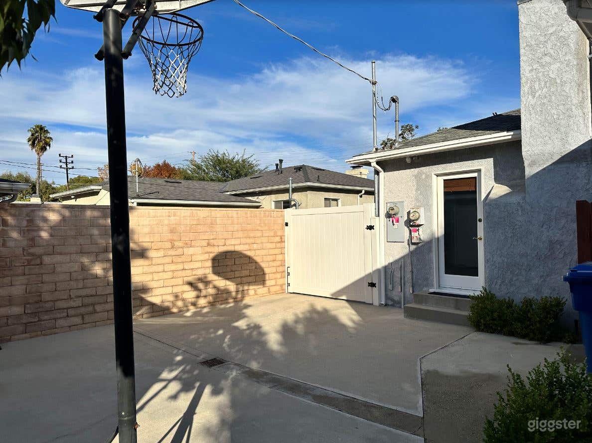 Half Basketball Court in the Backyard Photo 3