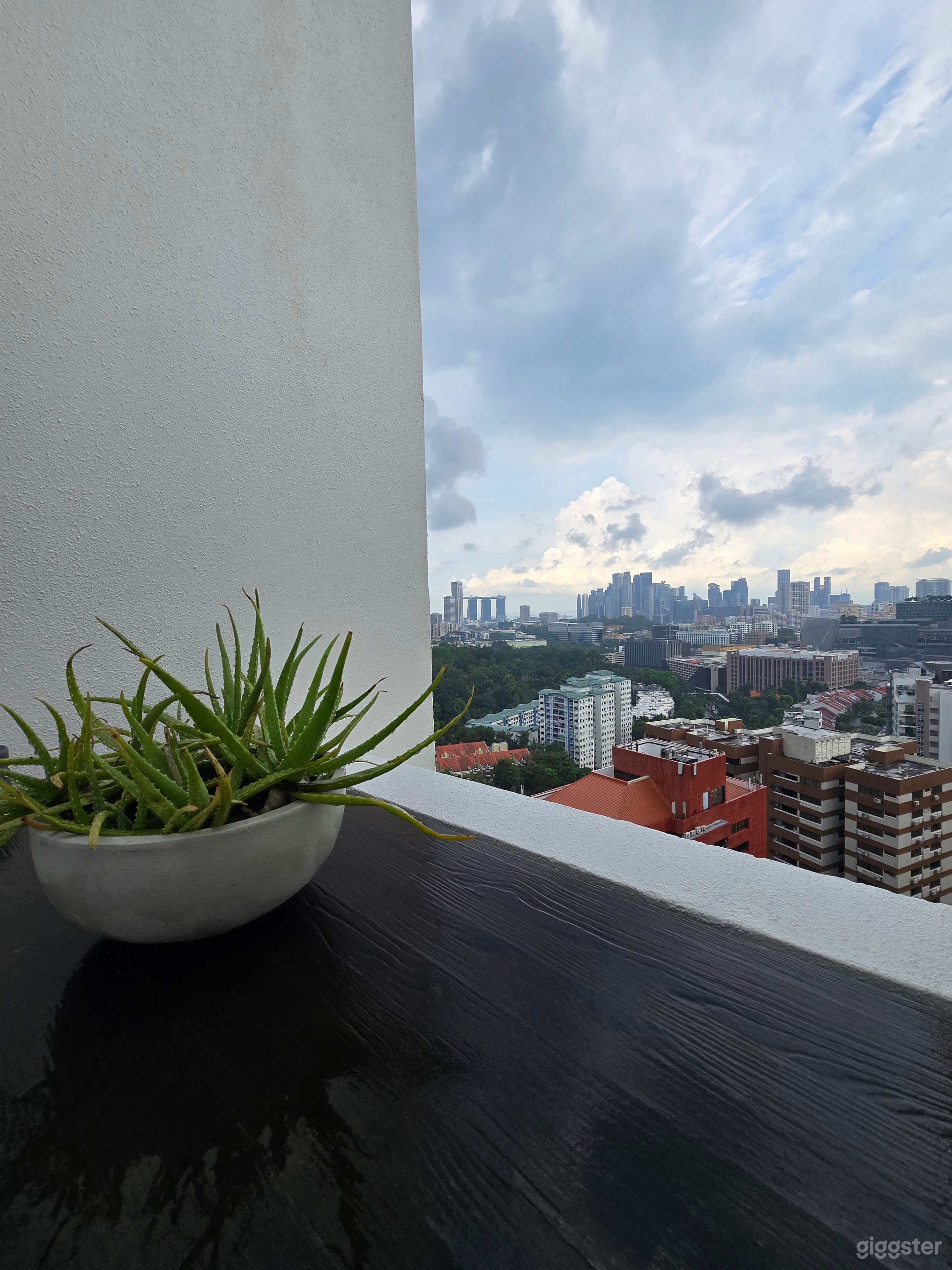 Gorgeous Bohemian Minimal Penthouse with View Photo 3