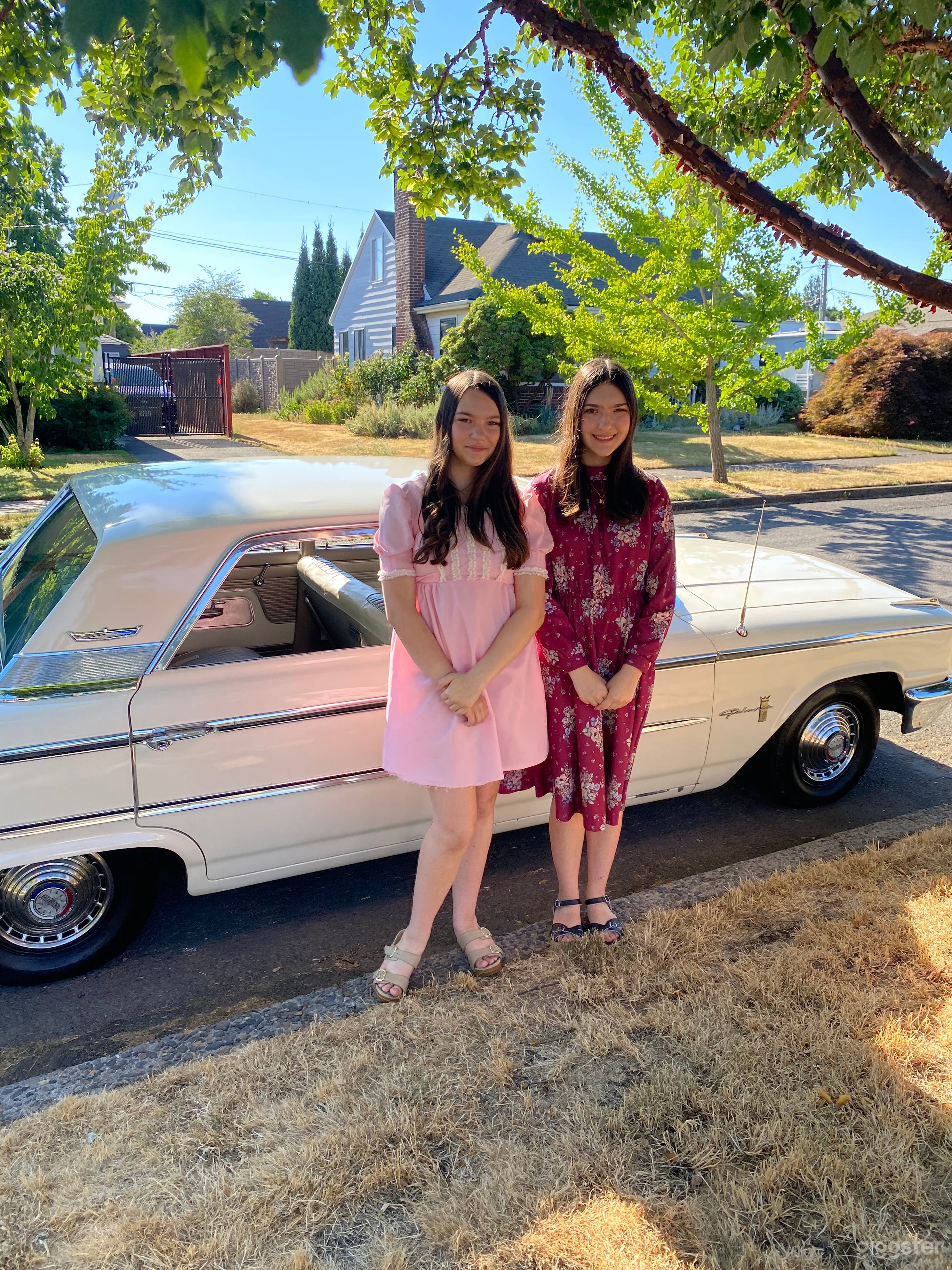 Vintage 1963 Ford Galaxie 500 Sedan Photo 3