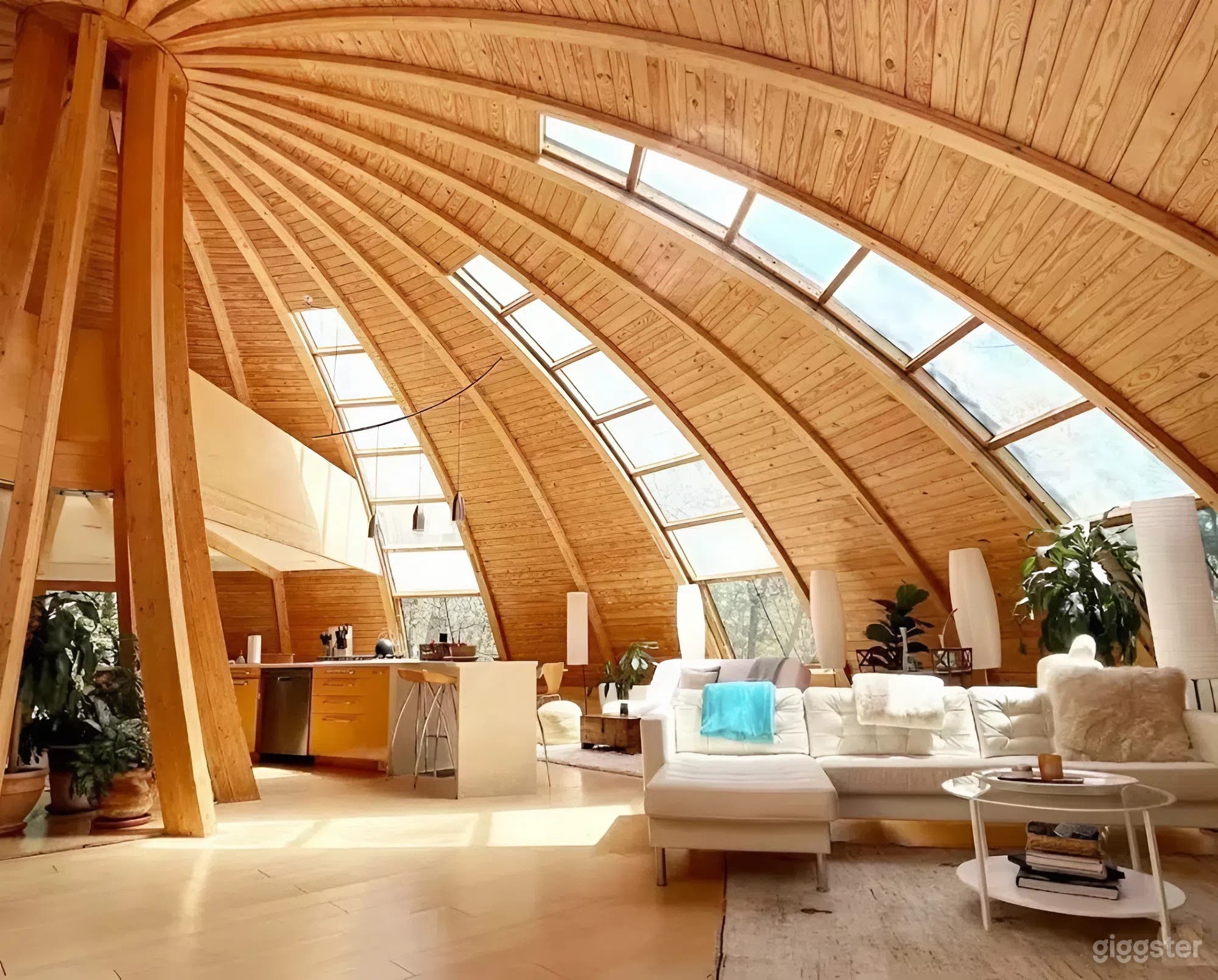 Architectural Dome Home & Private Woodland Compound Photo 2