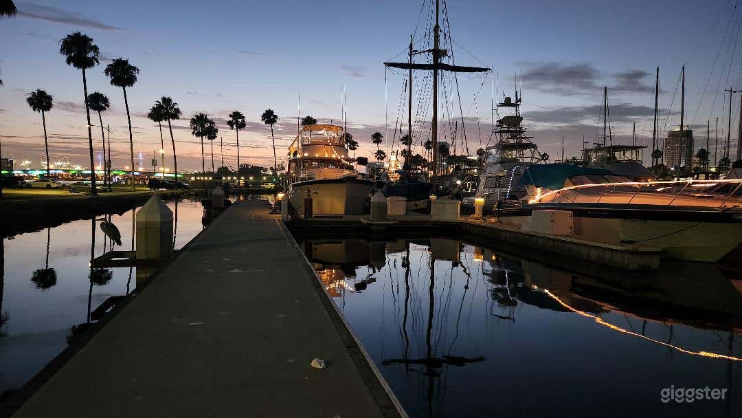 Long Beach Shoreline - Purple Haze Boat Photo 3