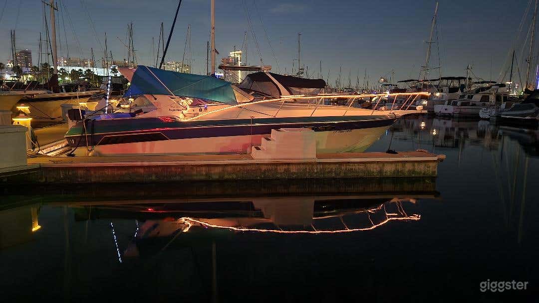 Long Beach Shoreline - Purple Haze Boat Photo 2