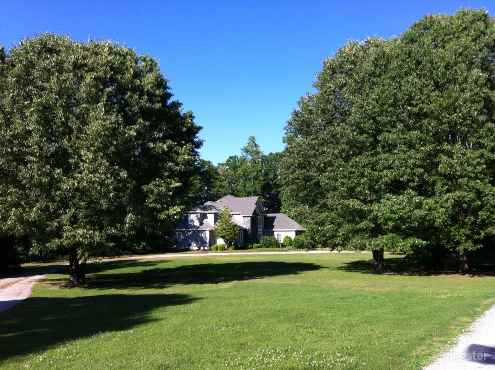 Lakeside Backyard with Expansive Forest Views Photo 1