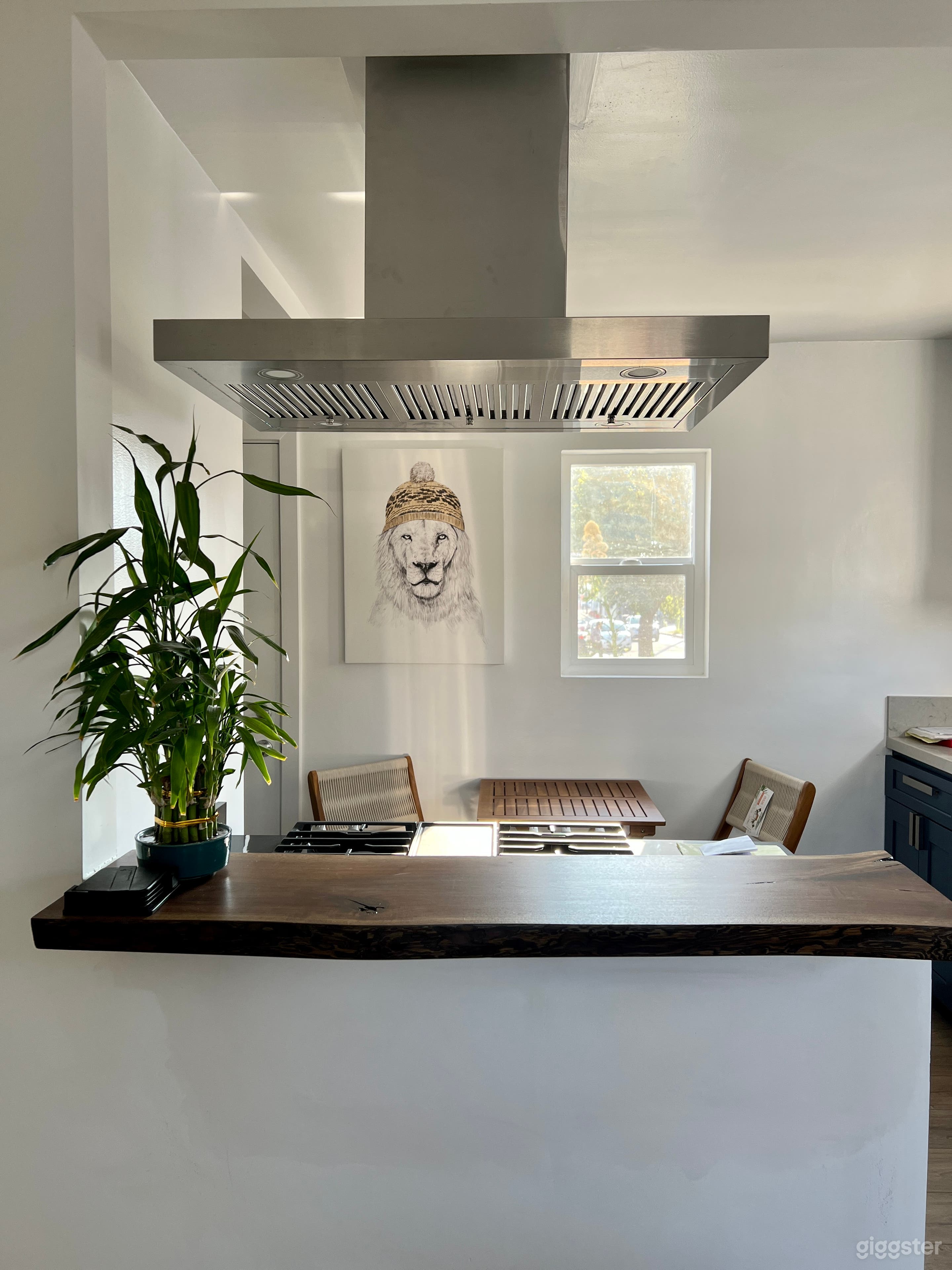 Tiny Dream Home Photo 3