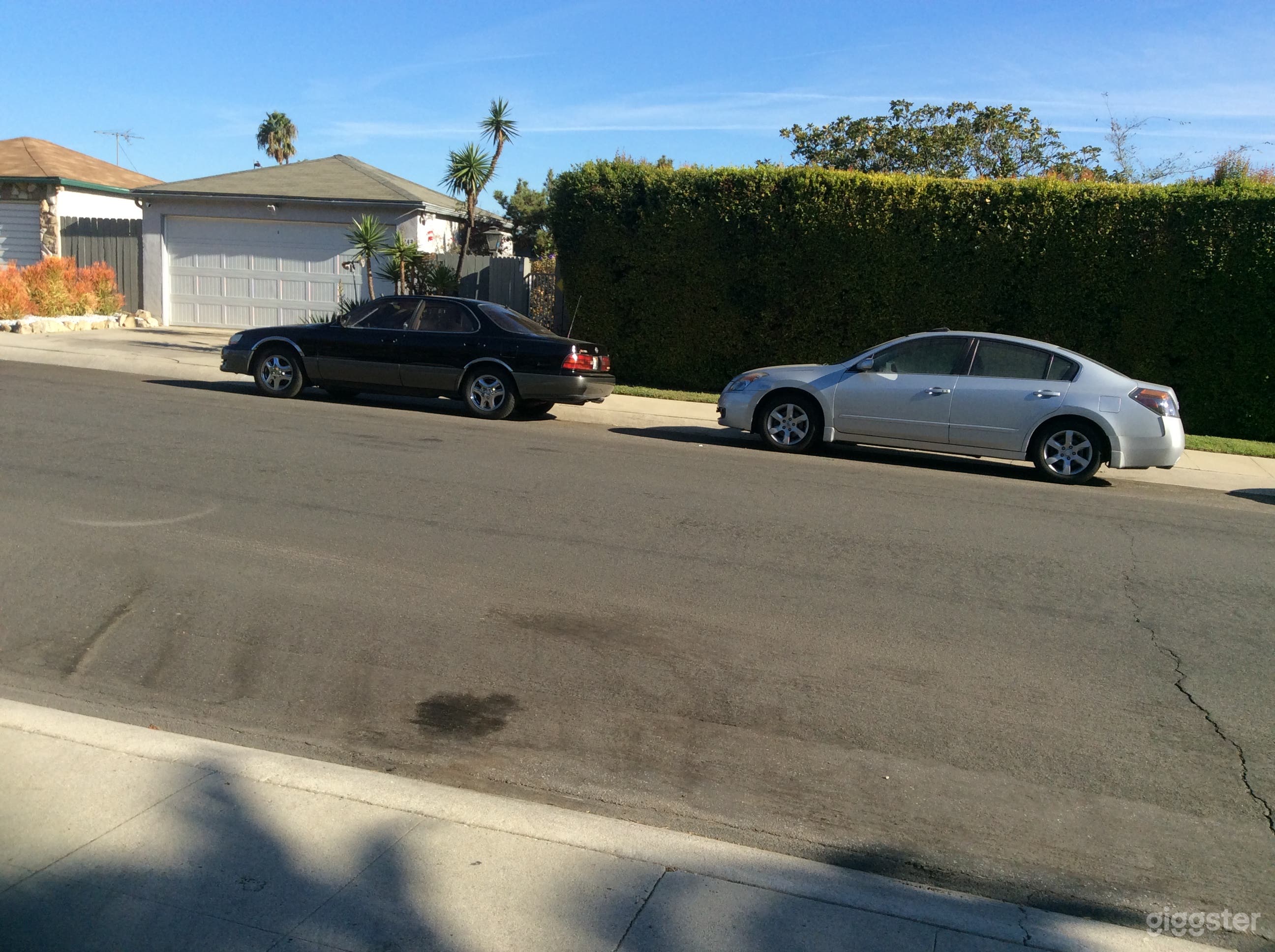 Street view,the house is behind hedges