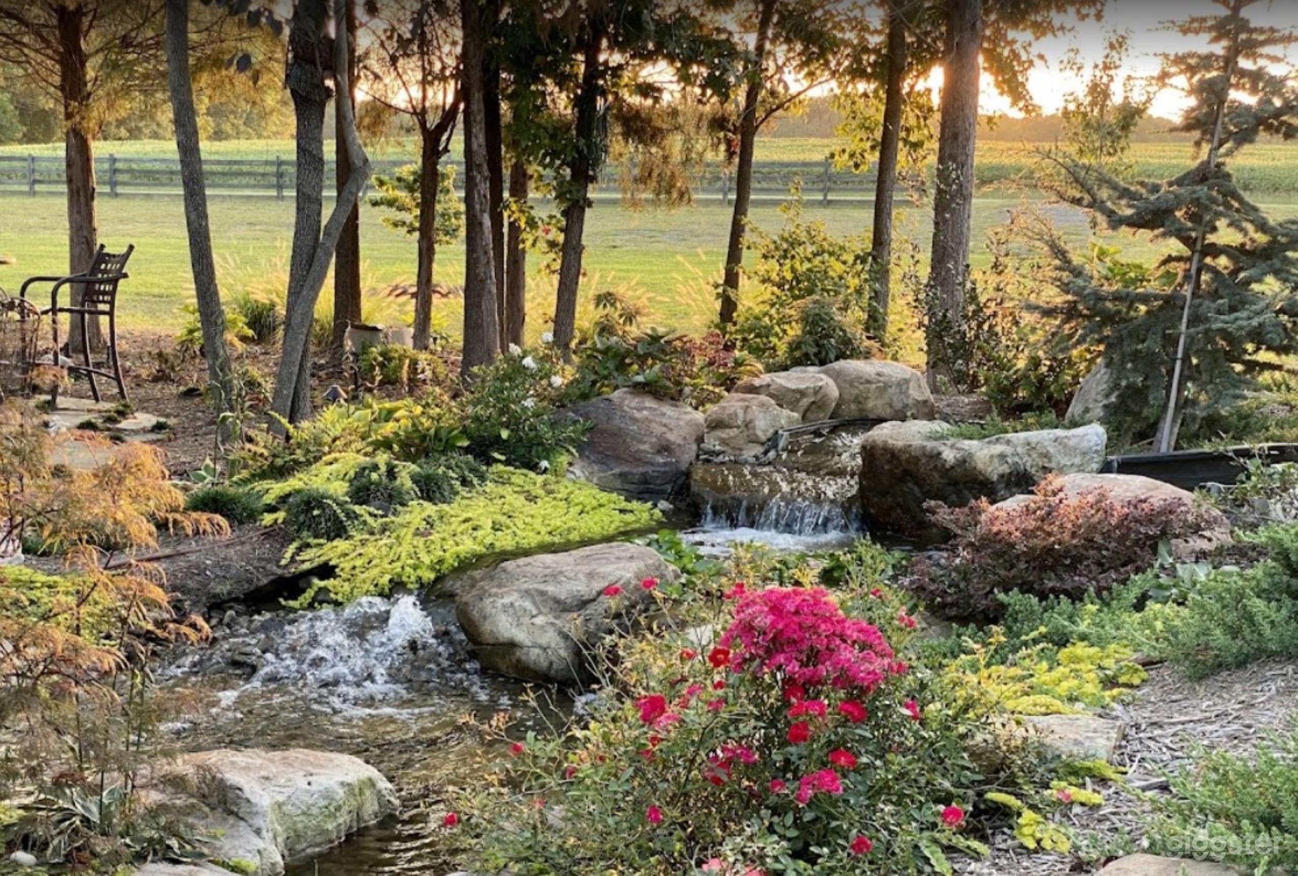 Beautiful Outdoor Space  Photo 3