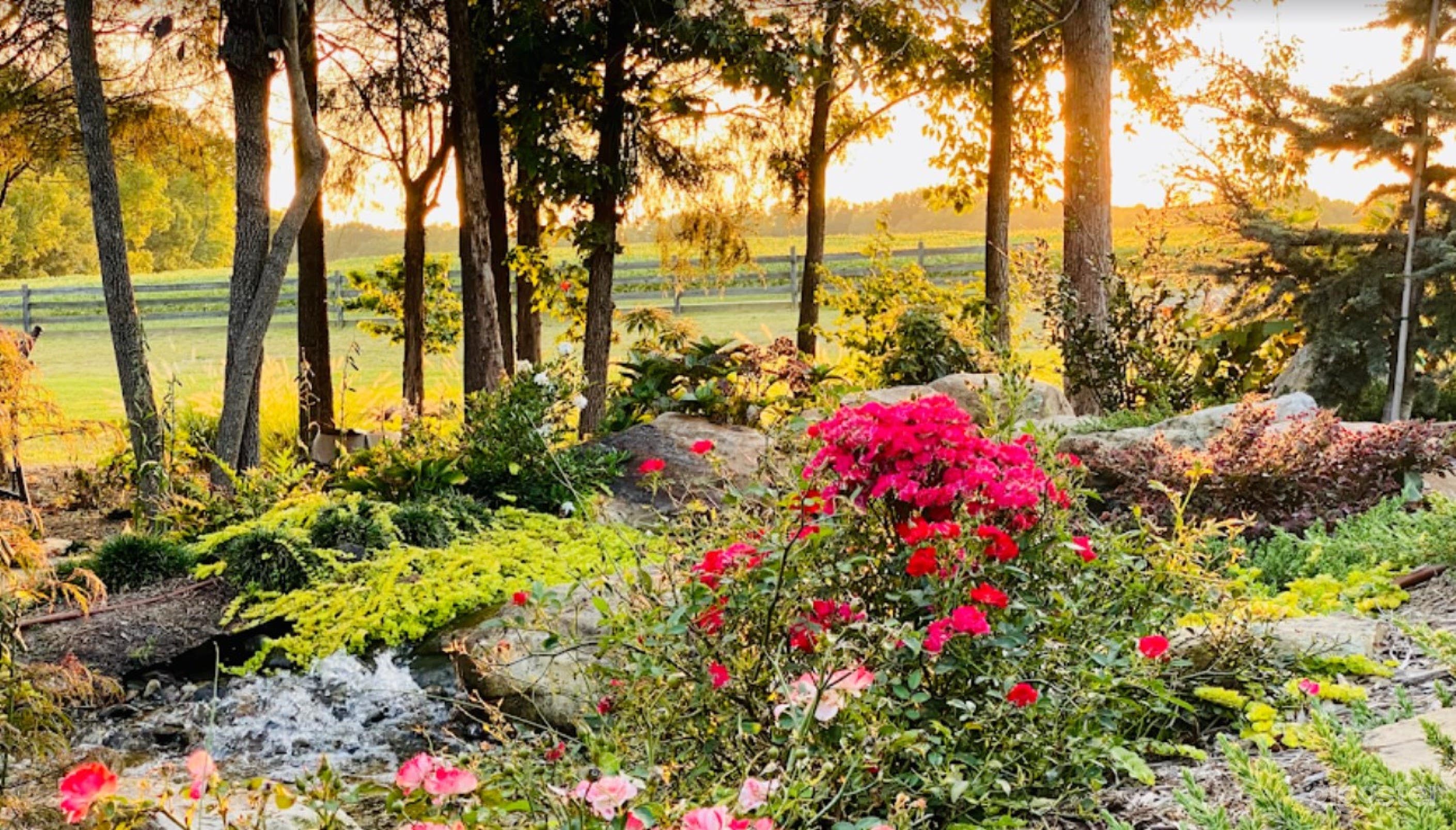 Beautiful Outdoor Space  Photo 1