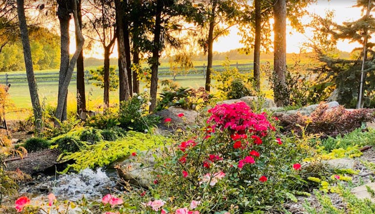  Beautiful Outdoor Space  