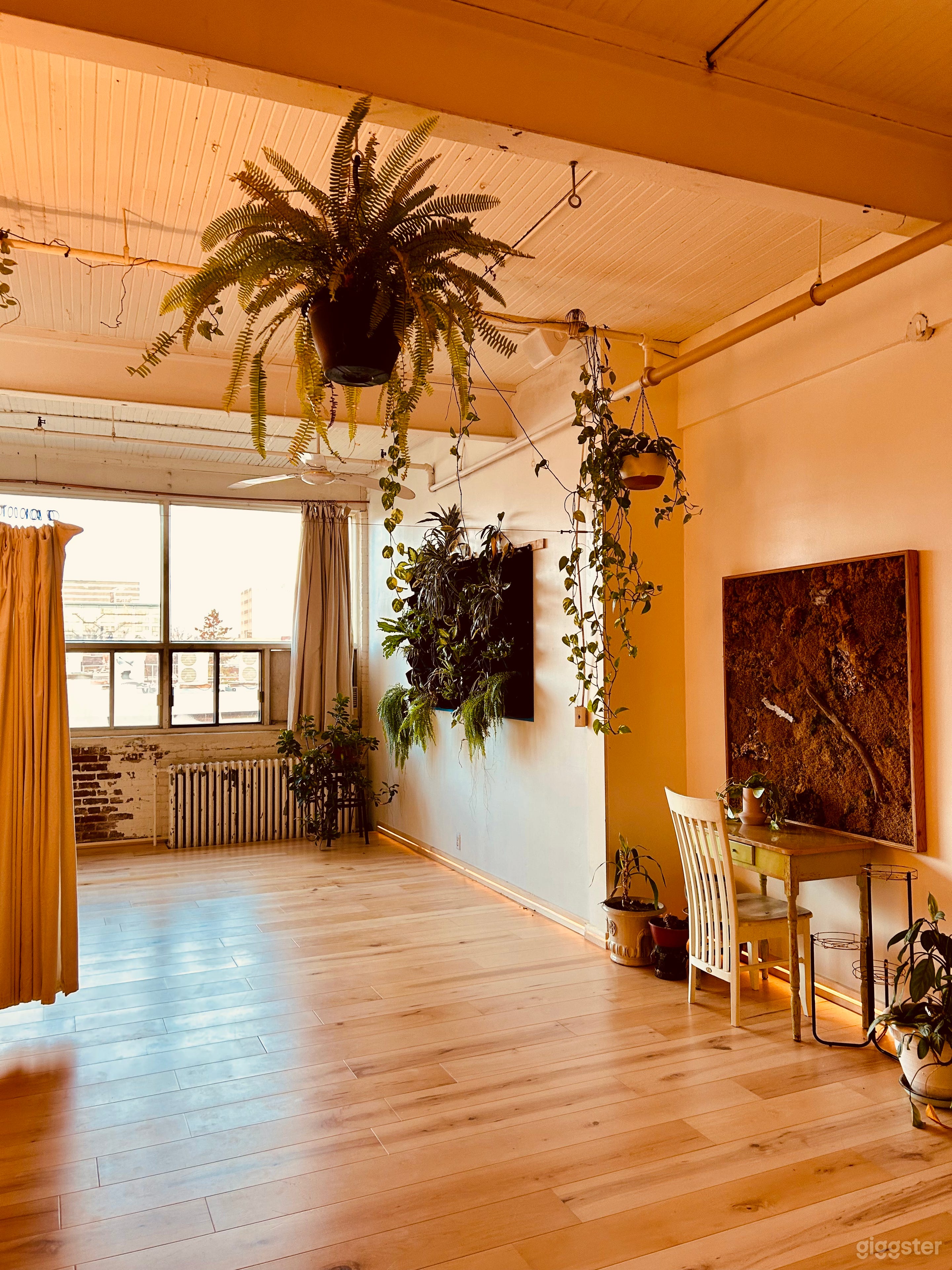 Gorgeous Calm Artist Loft | blvd St Laurent Photo 1