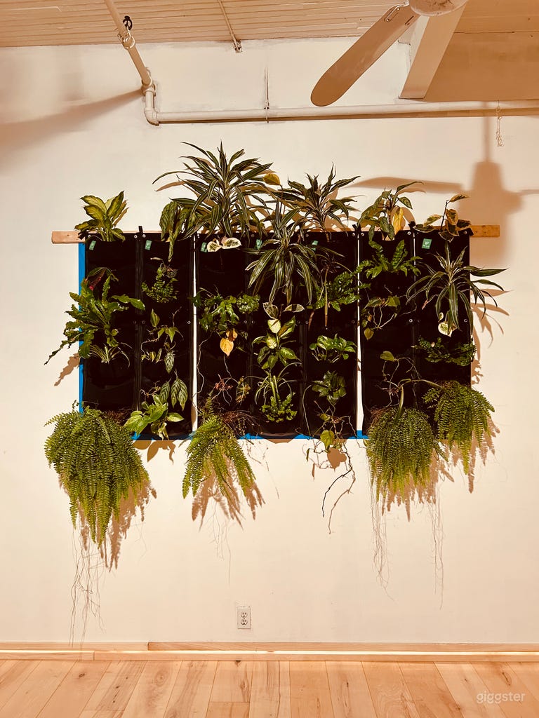  Gorgeous Calm Artist Loft | blvd St Laurent 