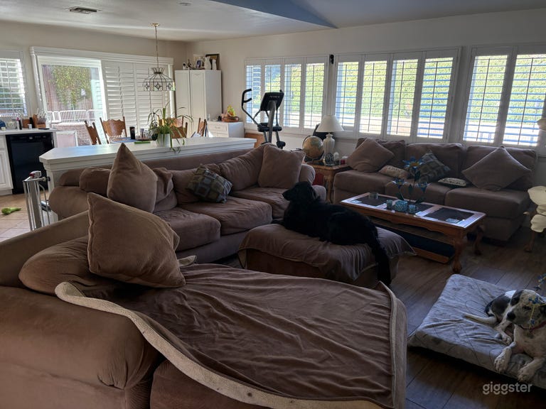  Open and spacious living room, dining room and kitchen with surrounding white shutters for full view of backyard. 