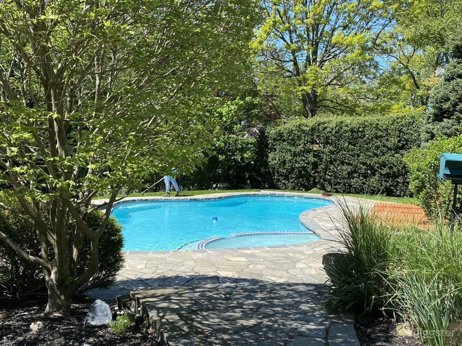 Expansive Garden &amp; Poolside Backyard Photo 2