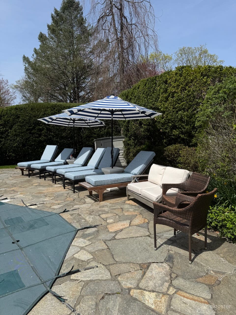 Expansive Garden &amp; Poolside Backyard Photo 3