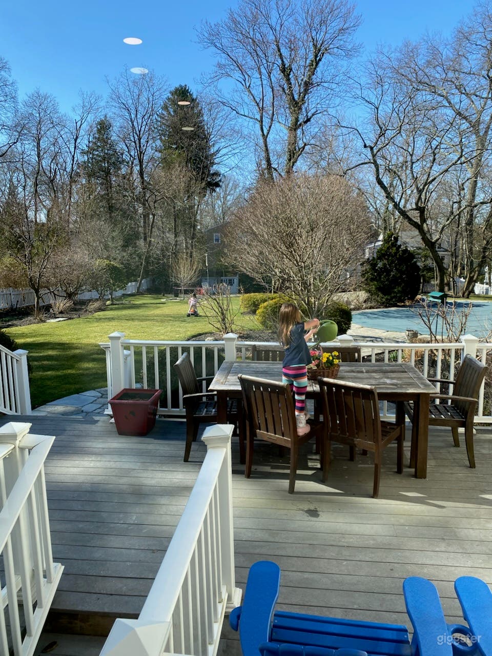 Expansive Garden &amp; Poolside Backyard Photo 1