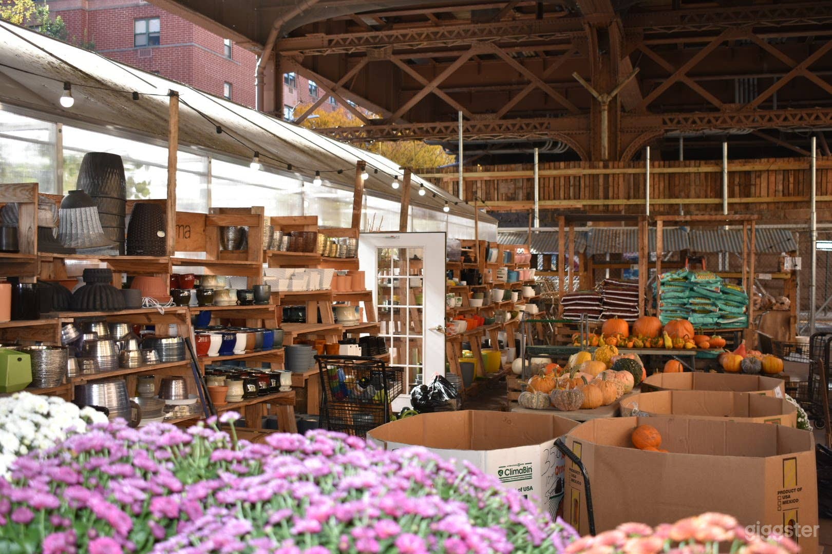 Exterior view of greenhouse #1