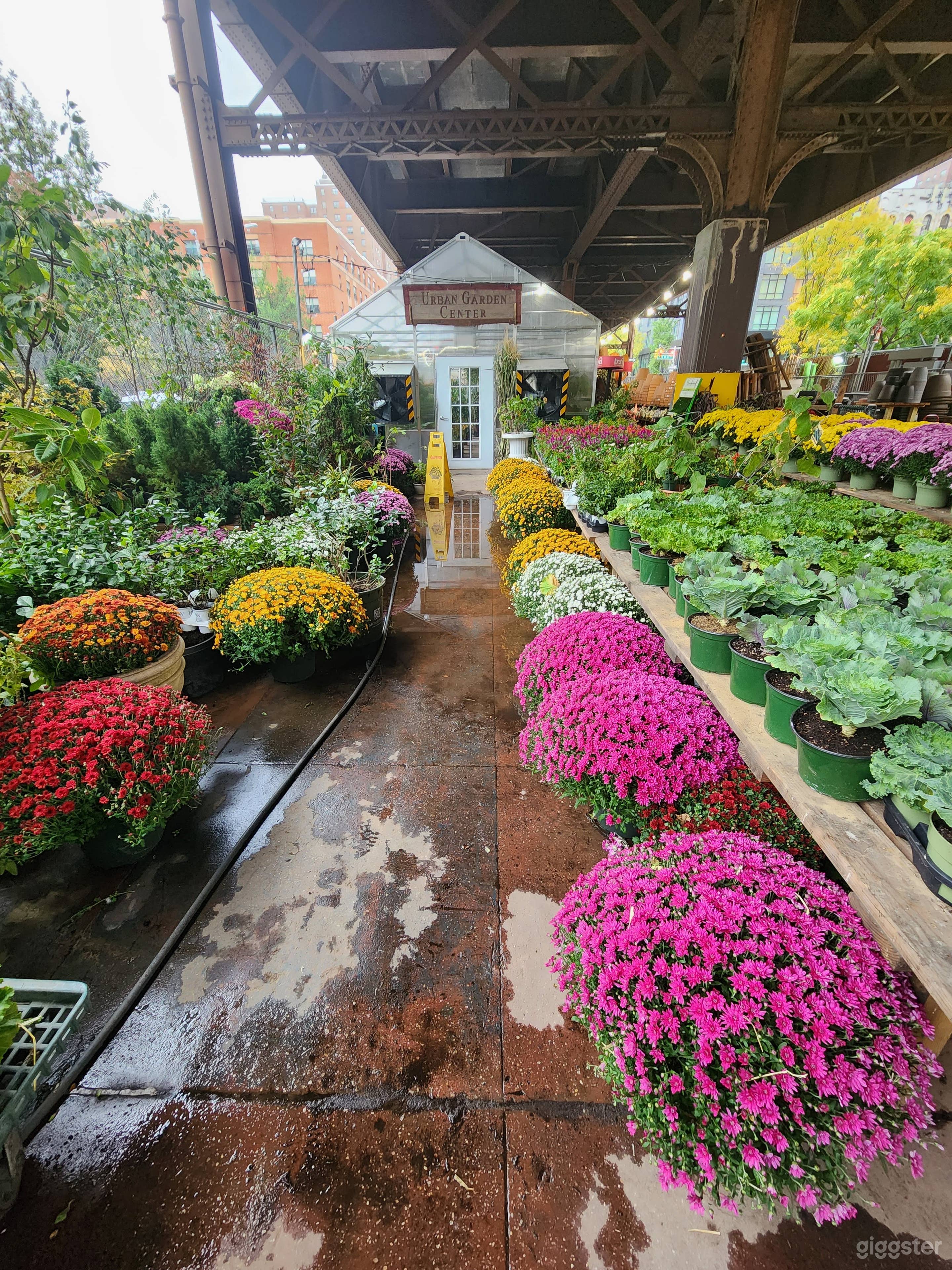 Front of Greenhouse #2