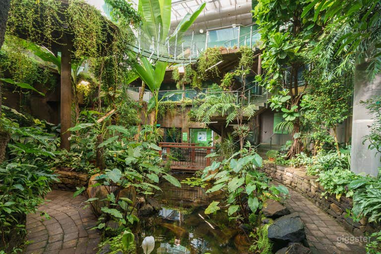  Tropical Forest Museum 