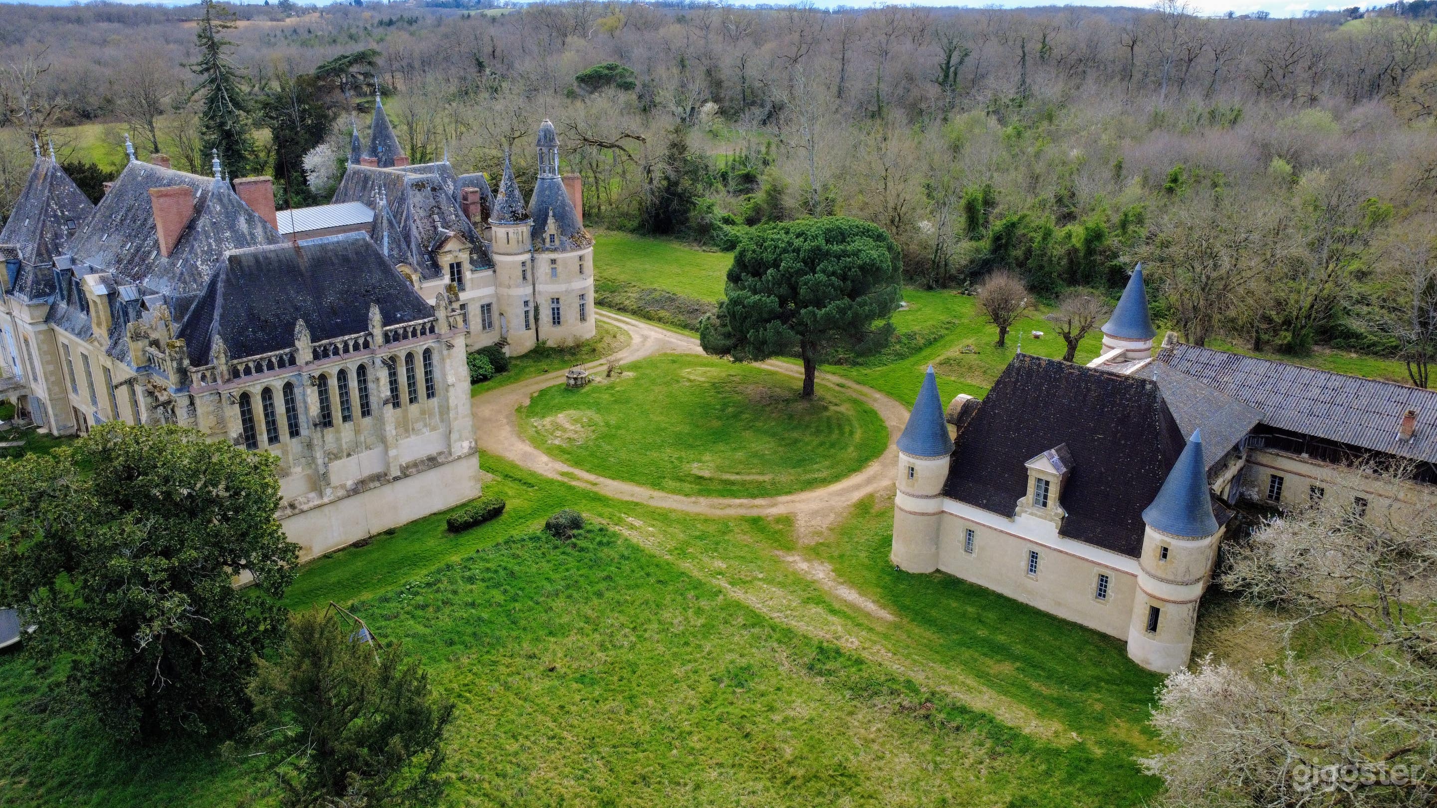 Photo de Un château unique caché dans la forêt 2