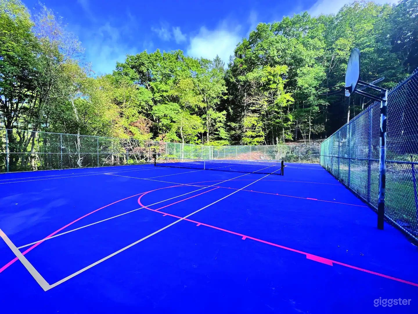 Unique Royal Blue Tennis Court Photo 3