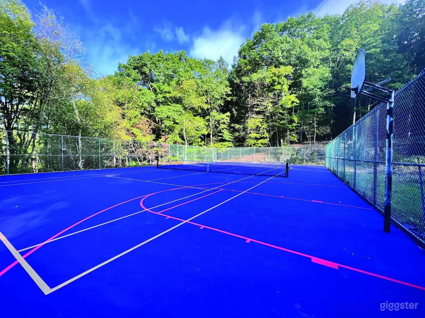 Unique Royal Blue Tennis Court Photo 1
