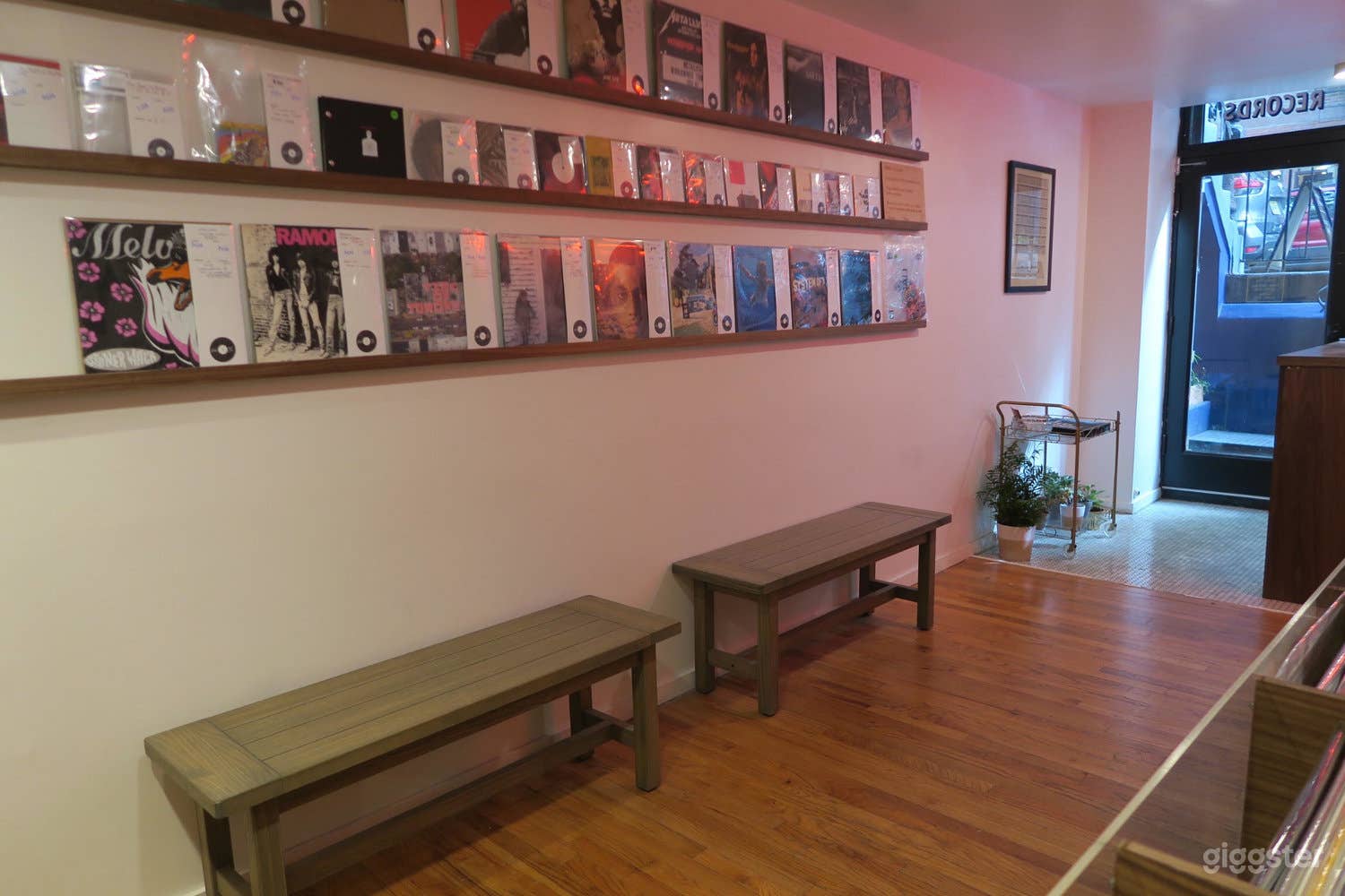 Limited to One Record Shop Photo 1