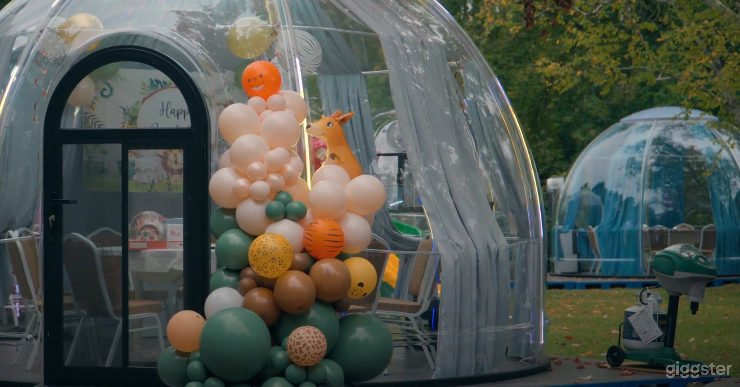 Starlit Dome | Unique Bubble Tent Experience Photo 2