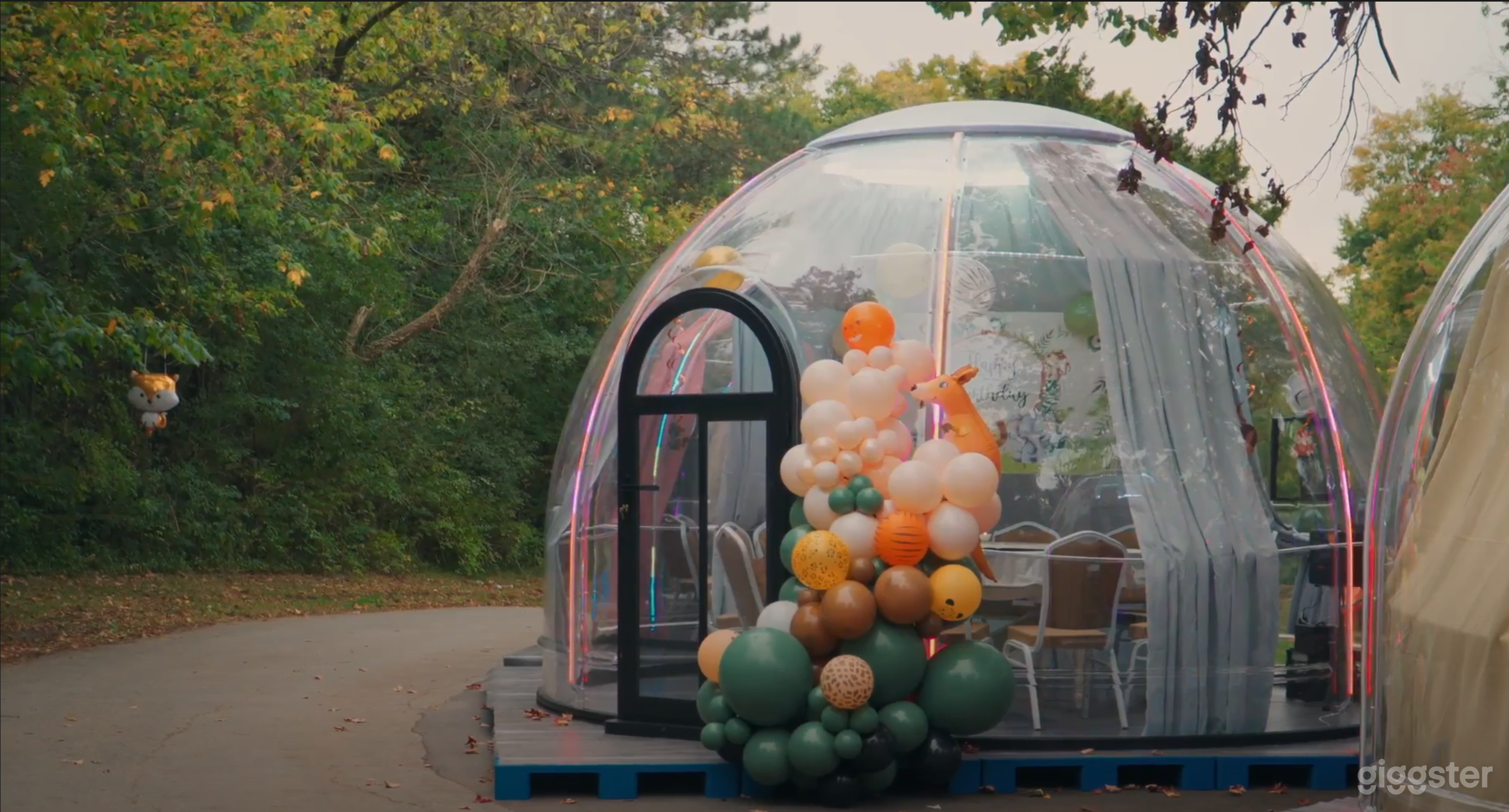 Starlit Dome | Unique Bubble Tent Experience Photo 1