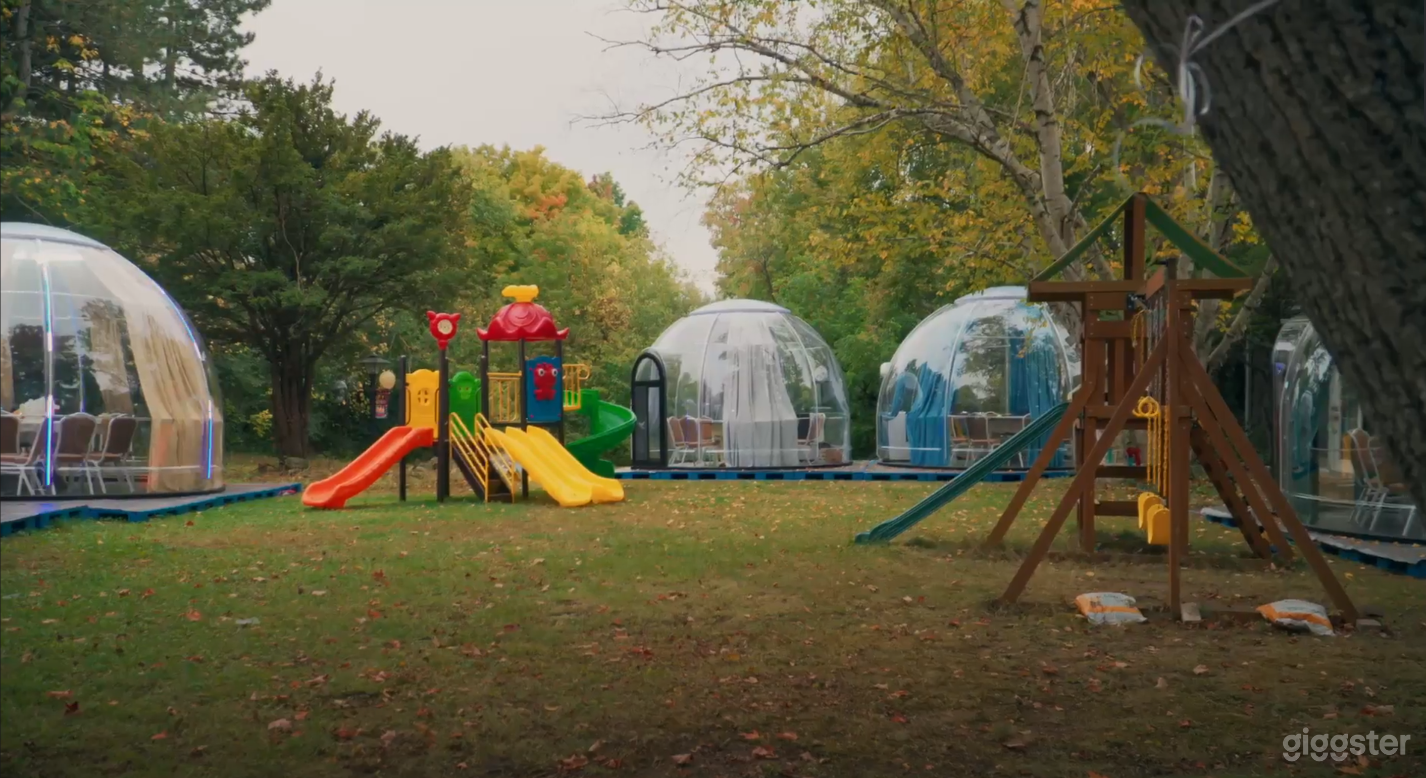 Starlit Dome | Unique Bubble Tent Experience Photo 4