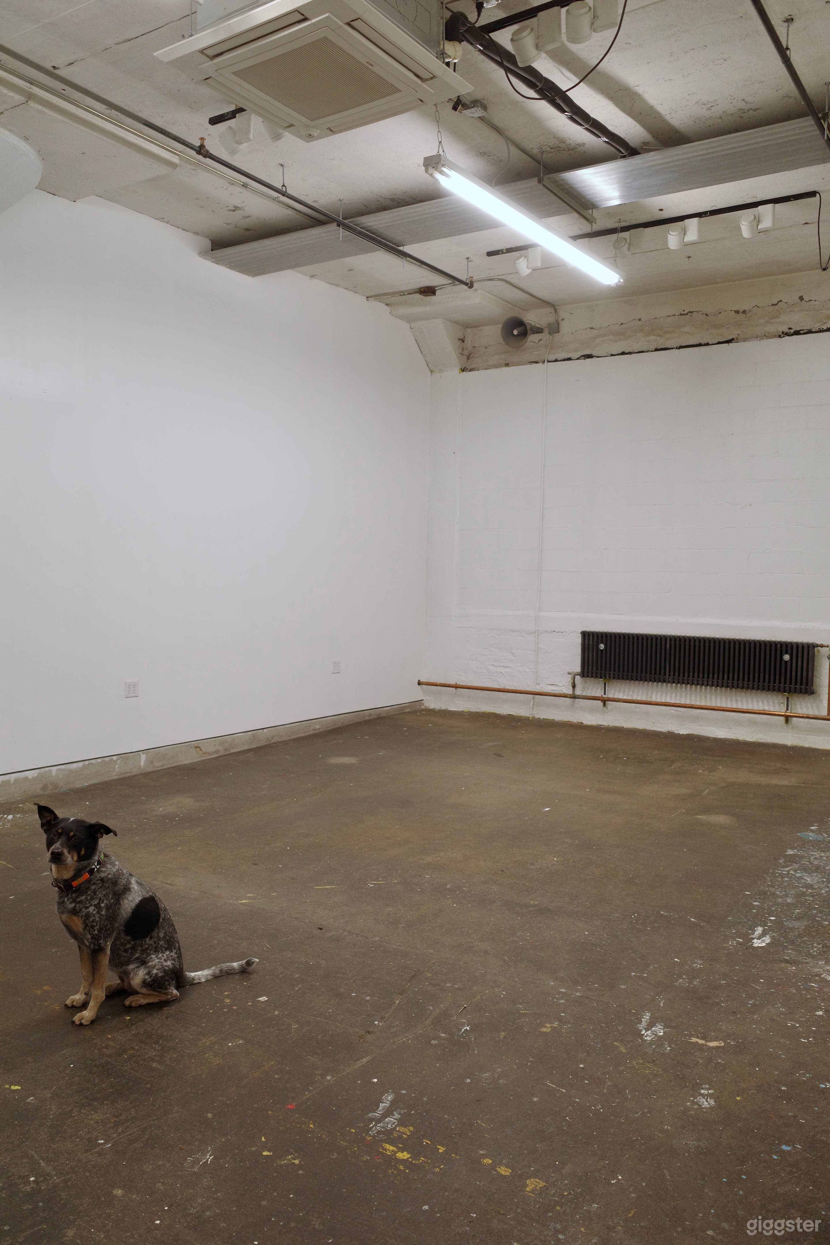 Make it happen in my empty studio! Photo 2
