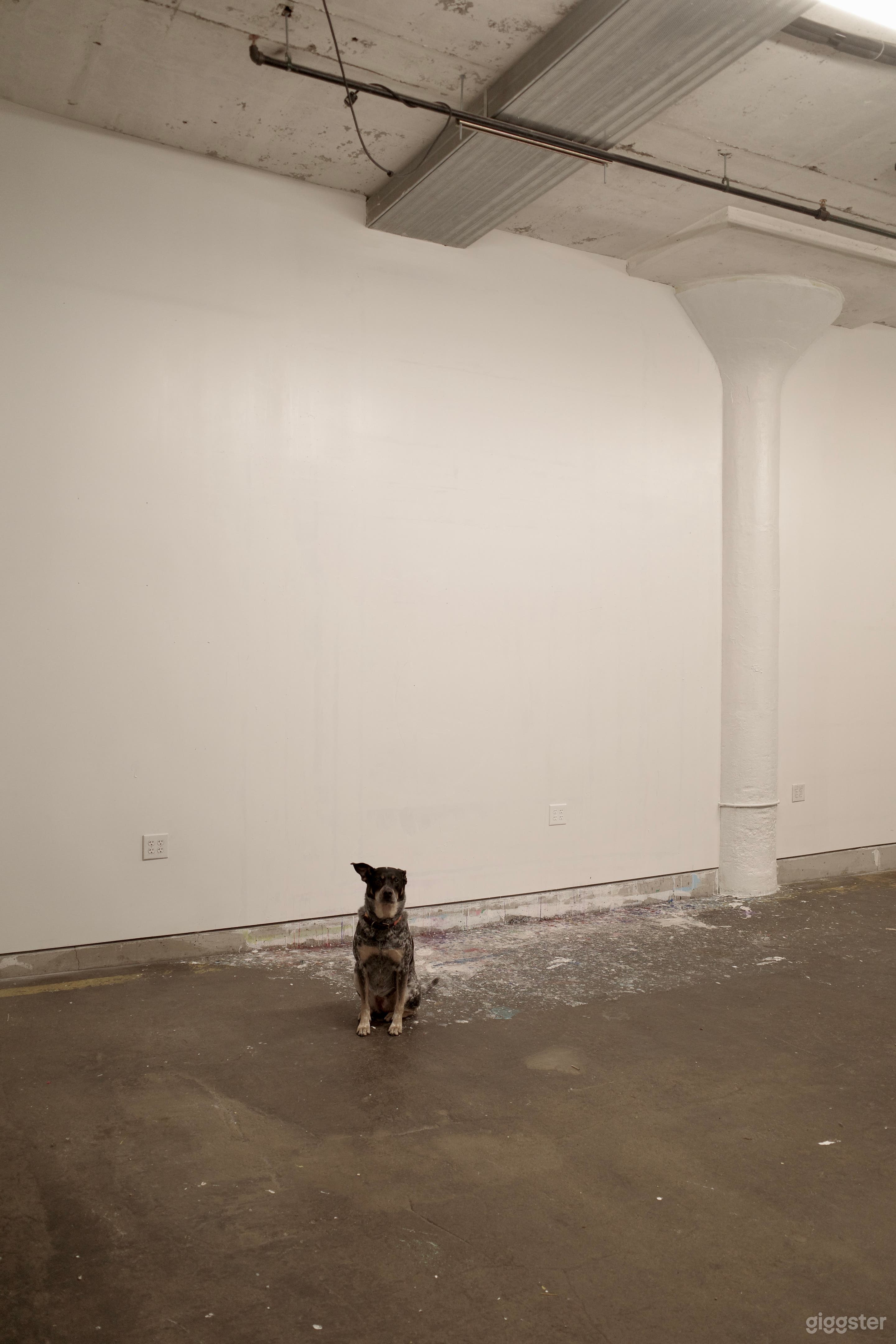 Make it happen in my empty studio! Photo 1