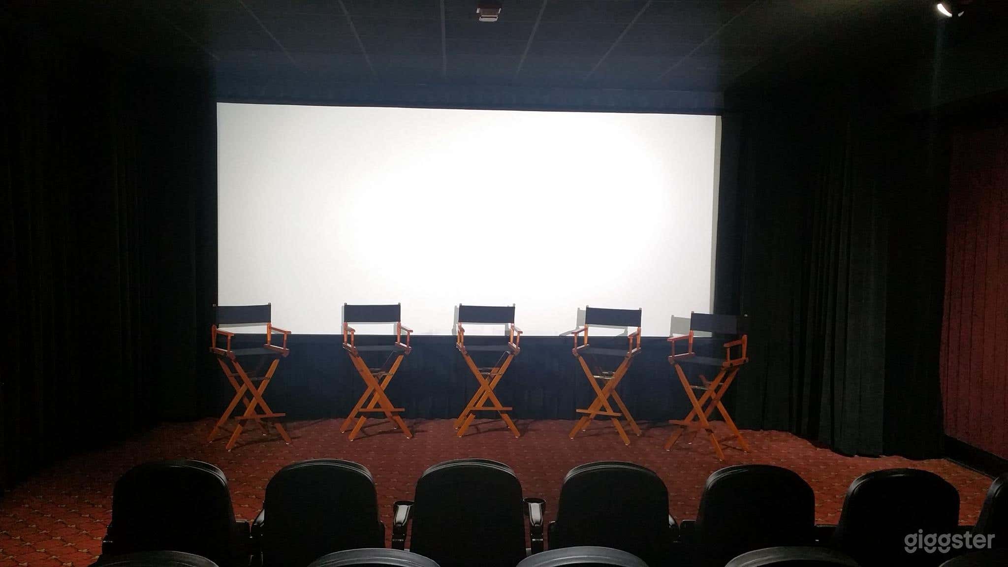 Rodeo Screening Room (Click "Show More" for rates) Photo 1