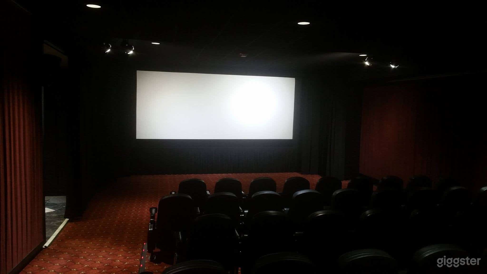 Rodeo Screening Room (Click "Show More" for rates) Photo 3