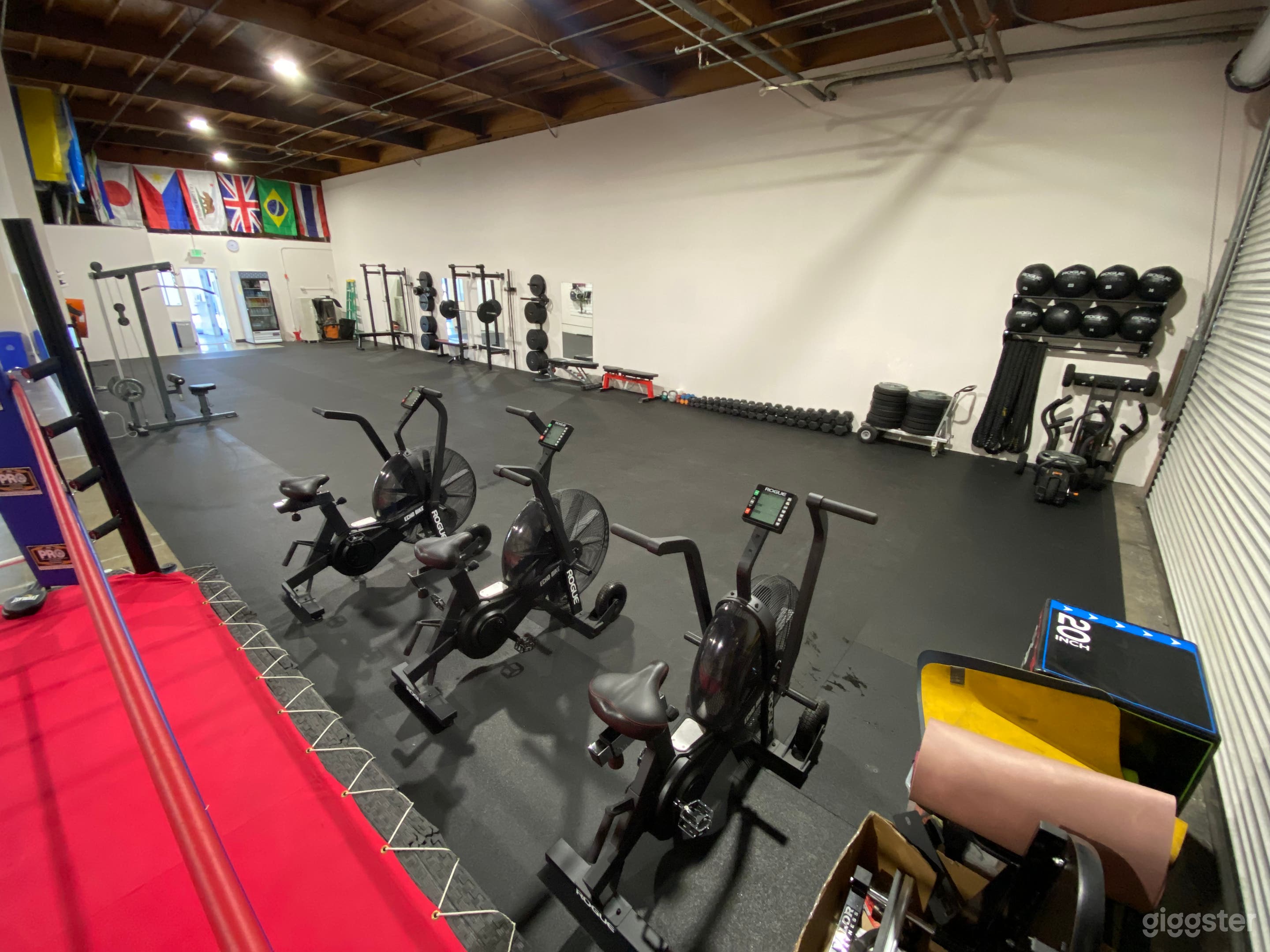 Cardio equipment, medicine balls, battle ropes for your shoot!