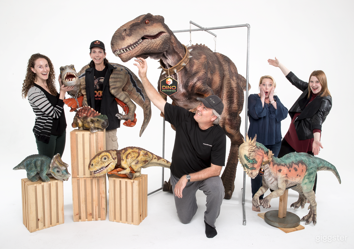 Cyc wall for photography