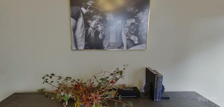  Designer Castro Lounge for Executive Meetings 