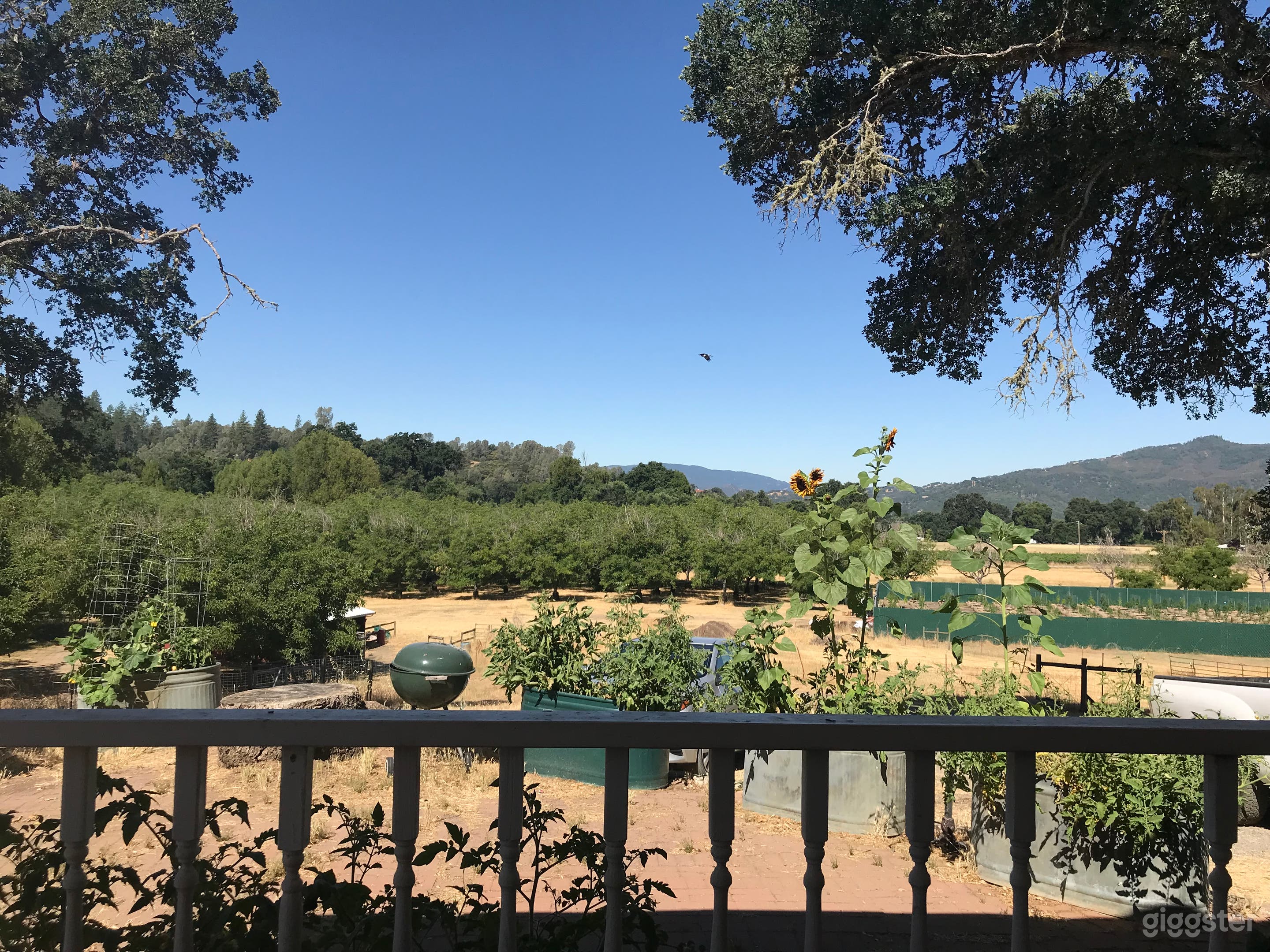 Upper Lake Farm with a vista...... Photo 3