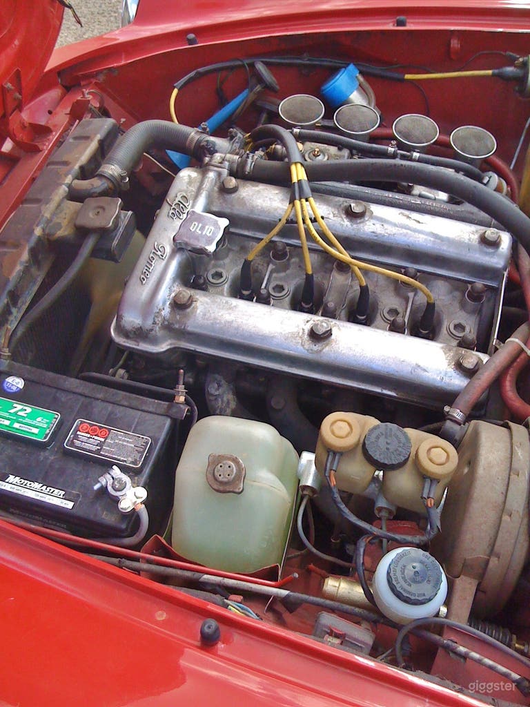  1972 Alfa Romeo Spider 