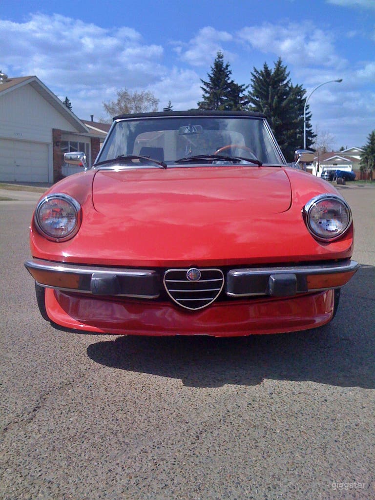  1972 Alfa Romeo Spider 