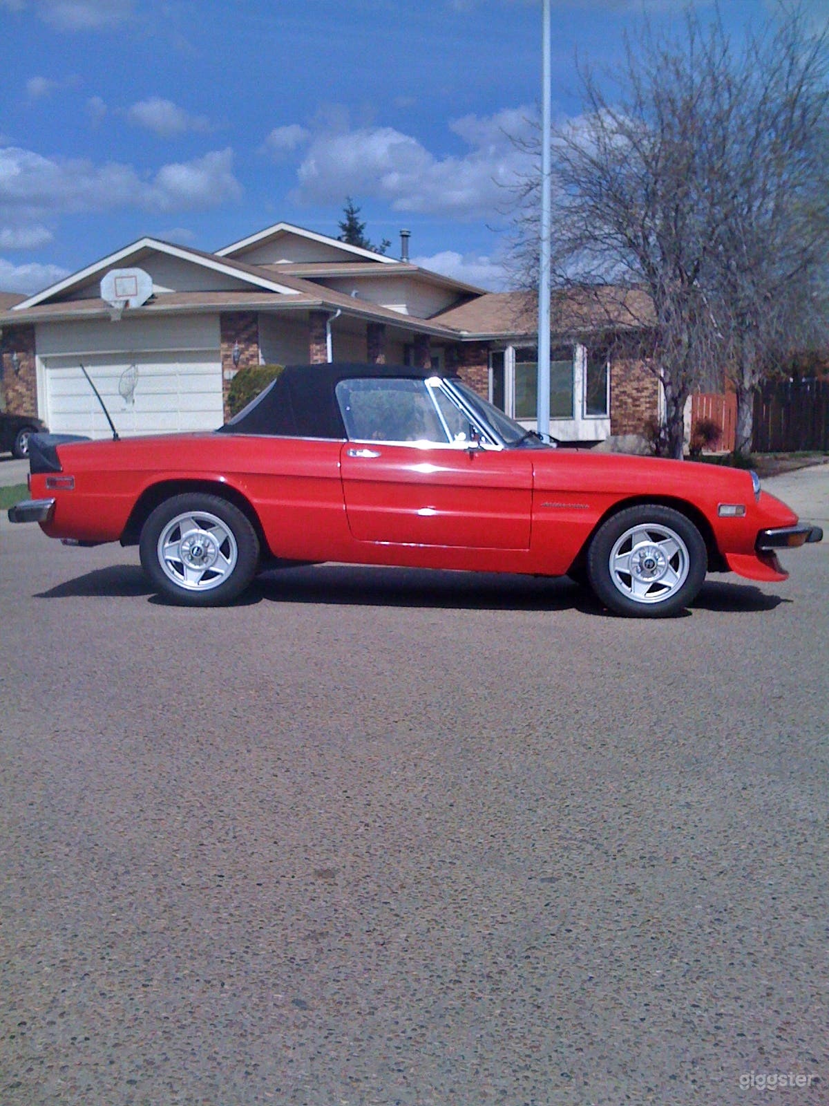 1972 Alfa Romeo Spider Photo 1