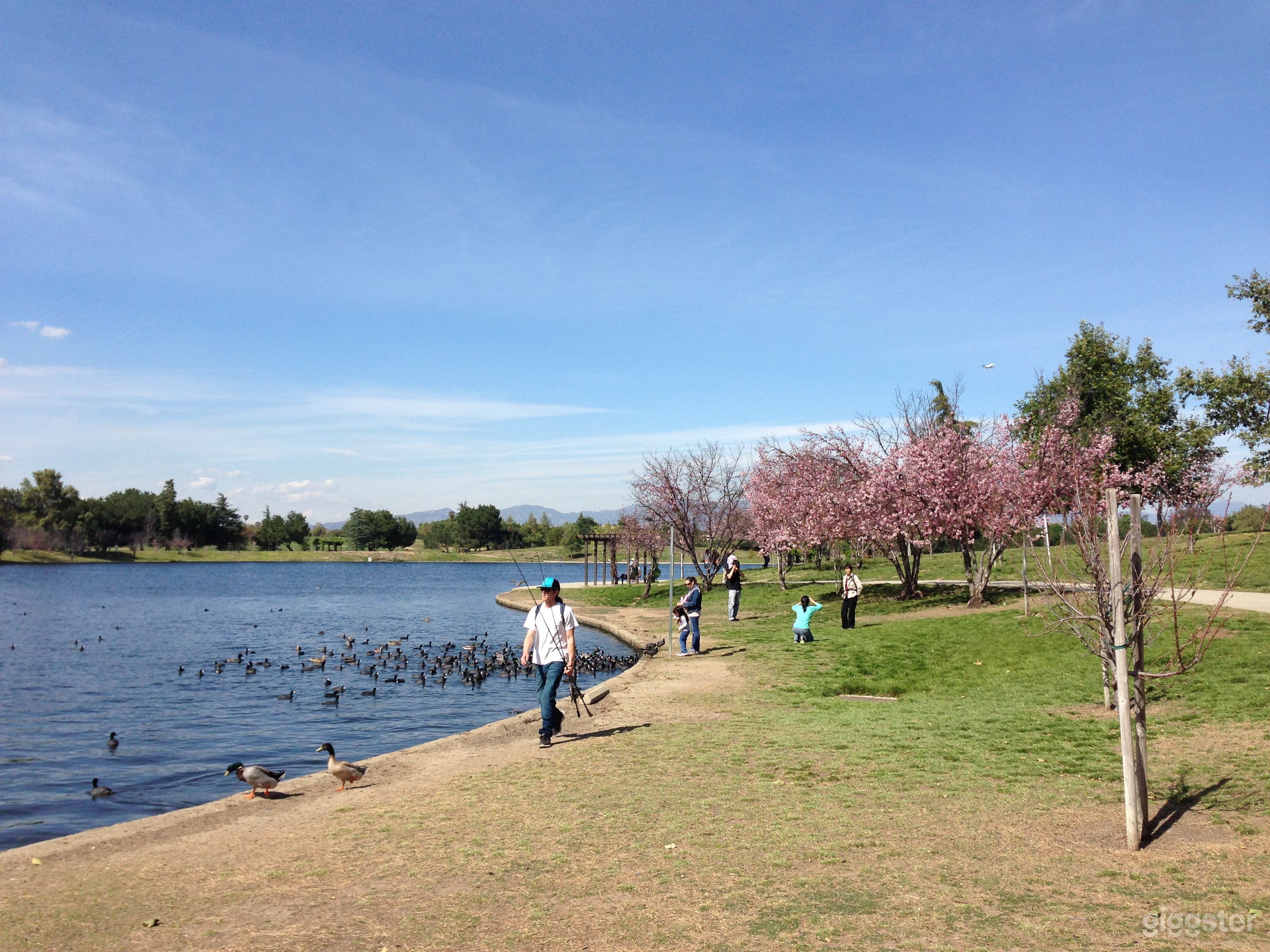 Lake Balboa Park Photo 4